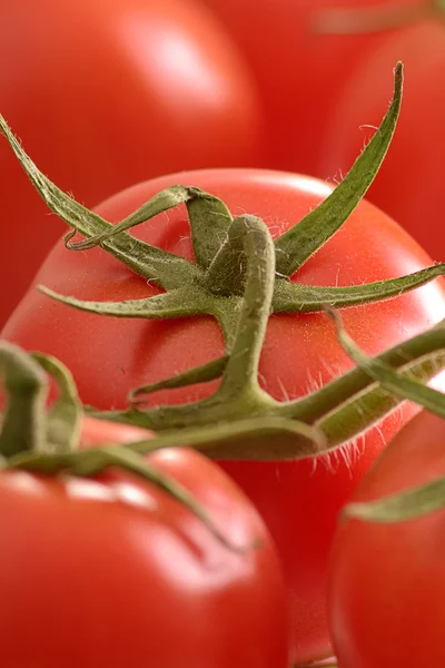 Composizione con pomodori freschi — Foto Stock