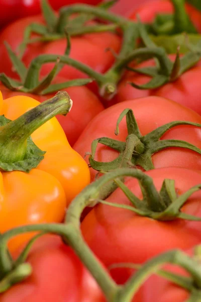 Composição com tomates frescos — Fotografia de Stock