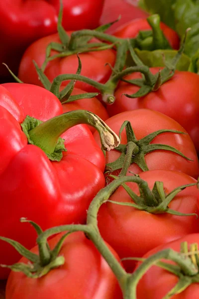 Состав со свежими помидорами — стоковое фото