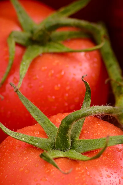 Composizione con pomodori freschi — Foto Stock