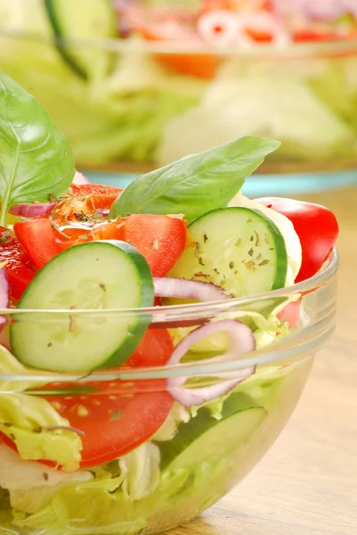 Sammensetning med vegetabilsk salatbolle og salatingredienser – stockfoto