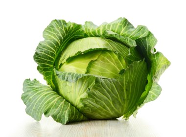 Cabbage clipart