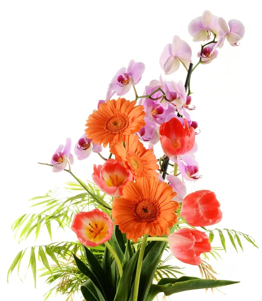 stock image Flower bouquet