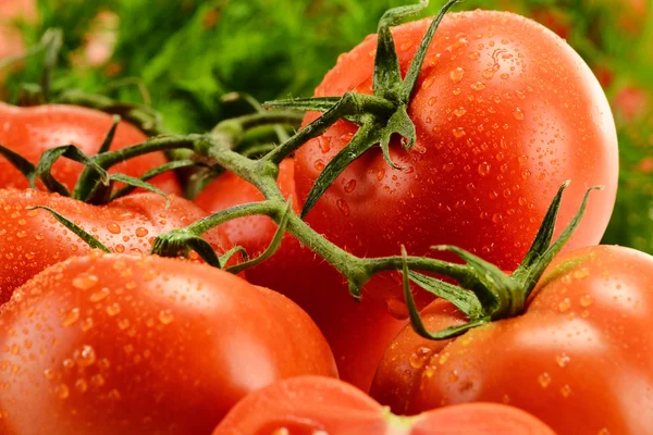 Состав со свежими помидорами — стоковое фото