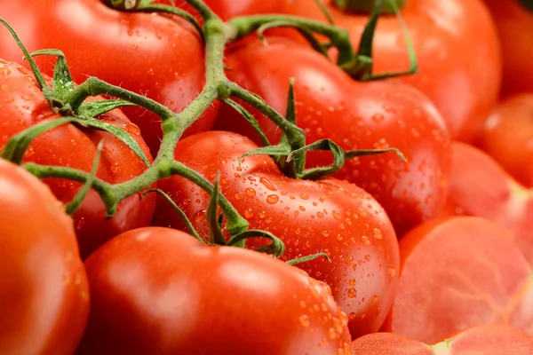 Samenstelling met verse tomaten — Stockfoto