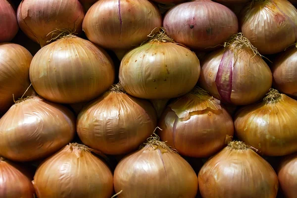 stock image Onions