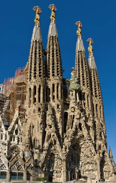 Dettaglio facciata Sagrada Familia Barcelona Spagna — Foto Stock