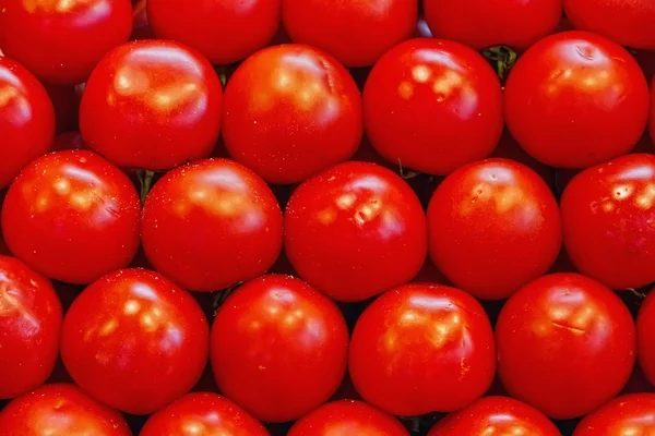 stock image Tomatoes