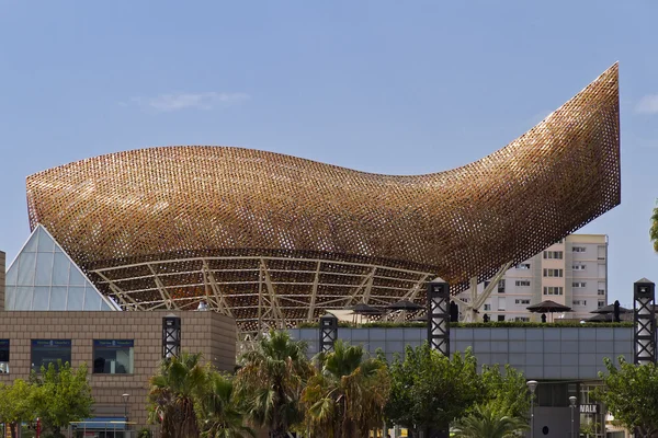 Velryba barcelona Španělsko — Stock fotografie