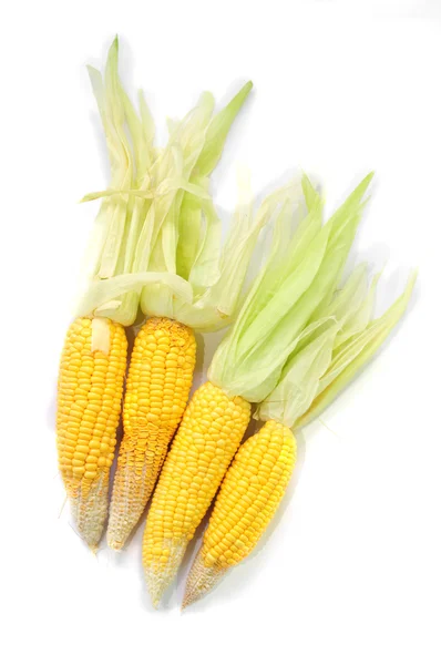 四种玉米 — 图库照片