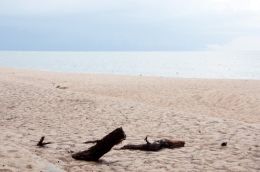 güzel bir plaj Adası Deniz