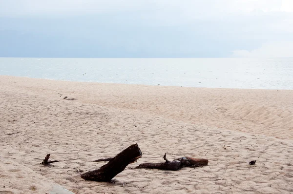 stock image Beautiful beach island sea