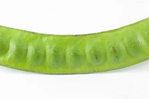 Parkia speciosa — Φωτογραφία Αρχείου