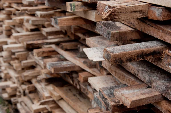 Viel Holz geschlagen — Stockfoto