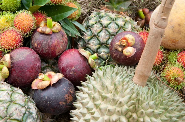 Fruta tailandesa —  Fotos de Stock