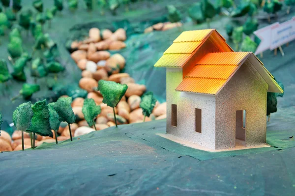 stock image Nature house model