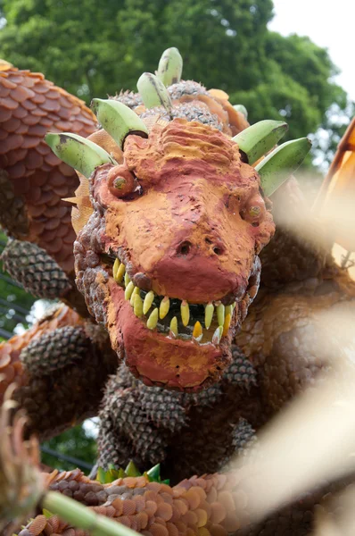 高級果物ドラゴン — ストック写真