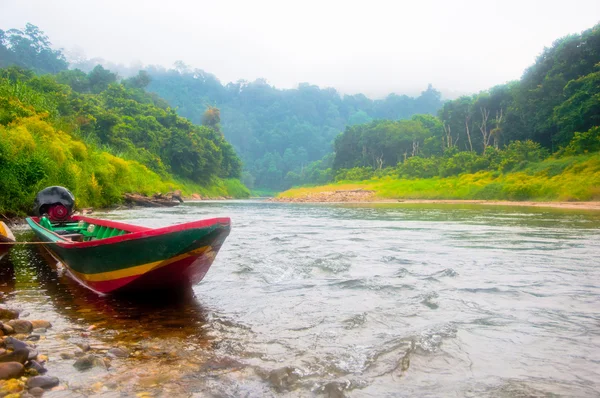 Ліс і човен — стокове фото