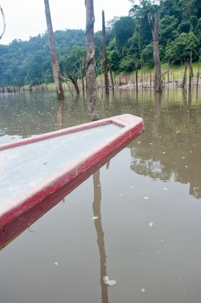 Ormanda tekne — Stok fotoğraf