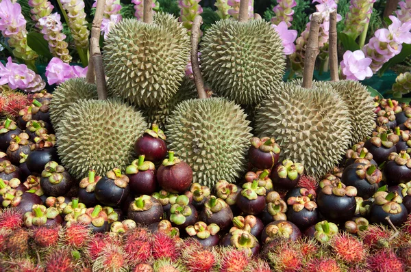 Frutas tailandesas — Foto de Stock