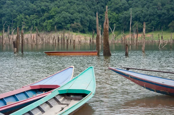 stock image Boat in forest