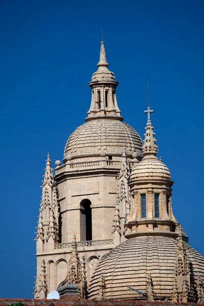 Kathedraal van segovia — Stockfoto
