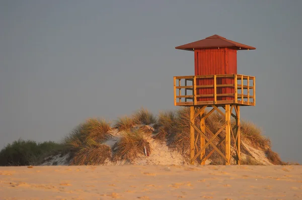 Vigilantes de la playa —  Fotos de Stock