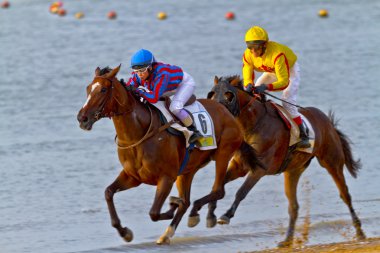 Horse race on Sanlucar of Barrameda, Spain, August 2011 clipart