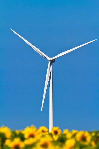 風車とヒマワリ — ストック写真