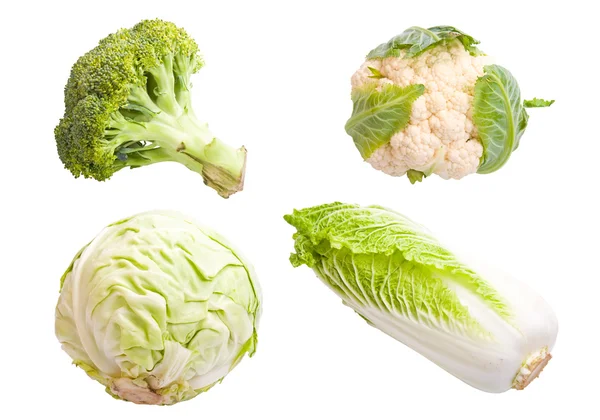 Collage de légumes — Photo