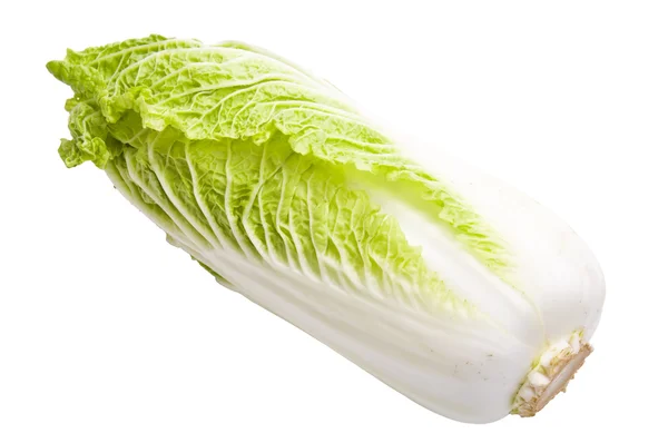 Fresh chinese cabbage — Stock Photo, Image