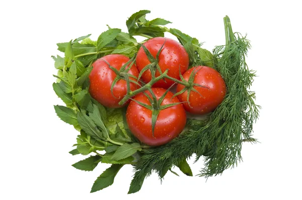 トマトと緑 ストック写真