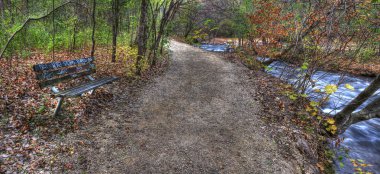 Graffiti bench in the woods in hdr clipart