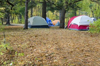 Camping and tents in the park clipart