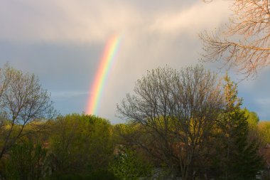 Beautiful Rainbow clipart