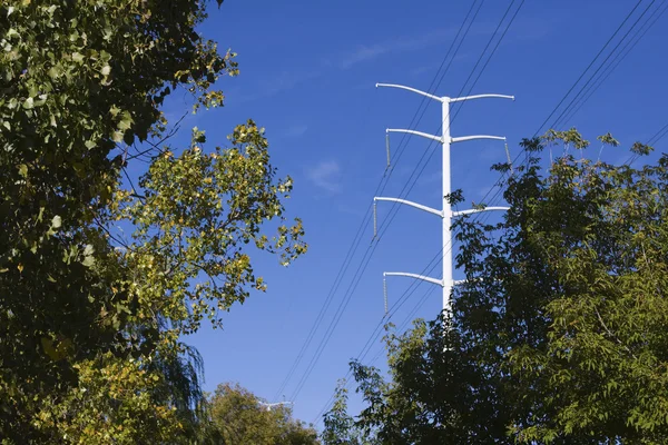 Linie zasilania energii elektrycznej — Zdjęcie stockowe