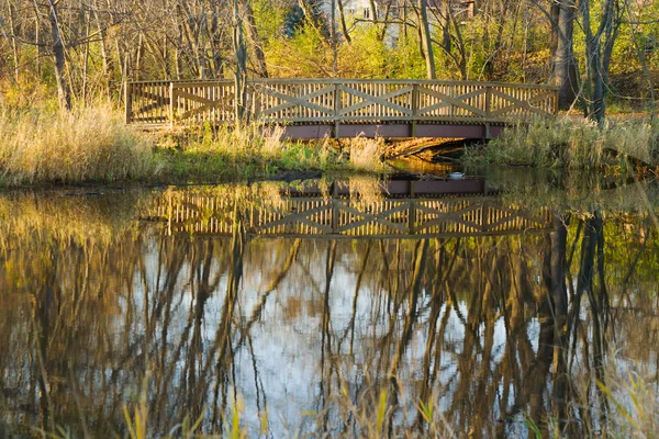 Most v parku. — Stock fotografie