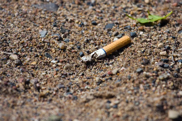 stock image Smoked cigarette on a ground