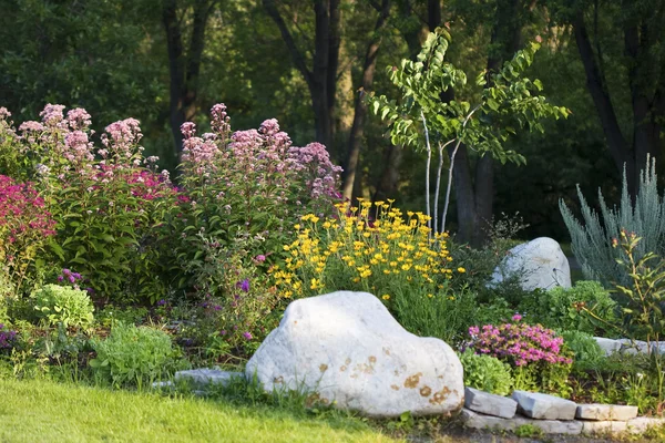 Grazioso giardino fiorito — Foto Stock