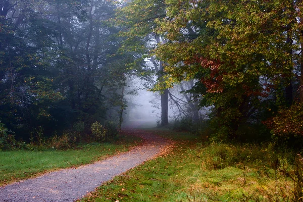 Jesień ścieżka — Zdjęcie stockowe