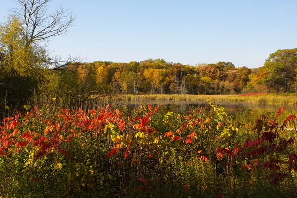 秋の landsscape. — ストック写真
