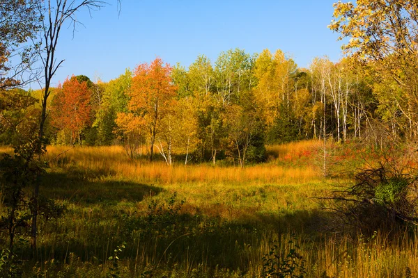 秋の風景 — ストック写真