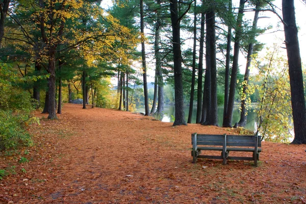 秋のベンチ — ストック写真