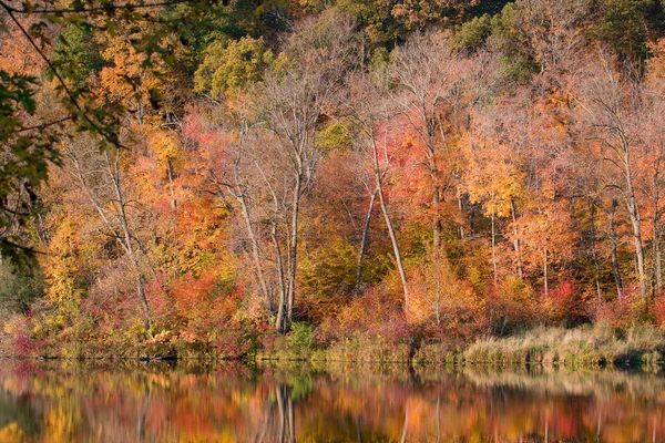 Autumn Reflections — Stock Photo, Image