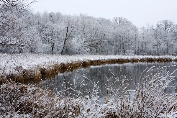 氷のような冬の風景 — ストック写真
