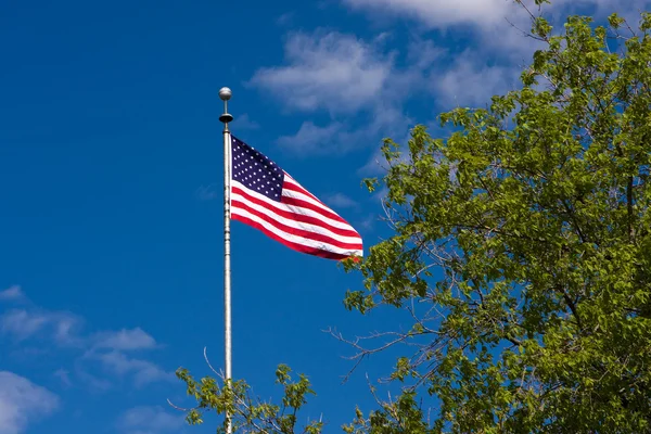 Amerikan bayrağı. Stars and stripes