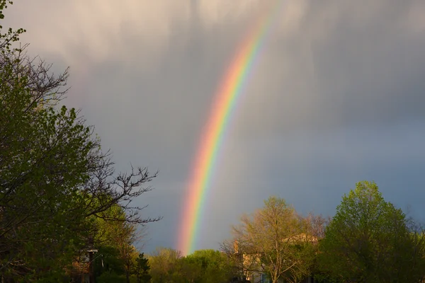 Stock image Rainbow