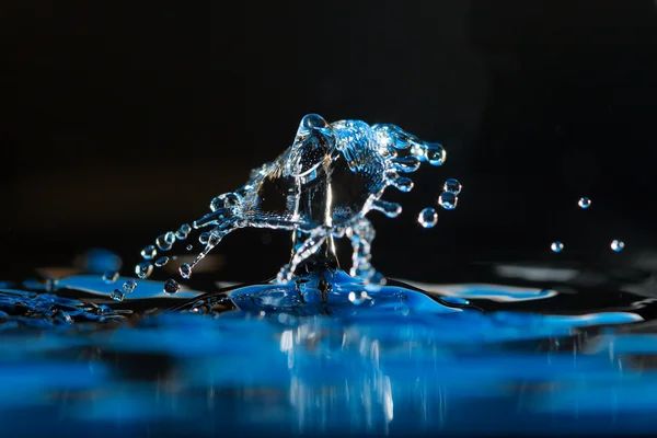 Vatten droppe skapelser — Stockfoto