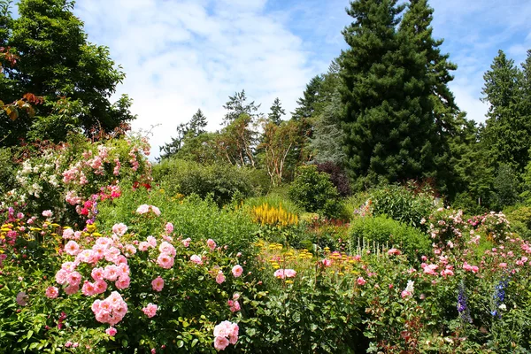 Bellissimo giardino fiorito — Foto Stock