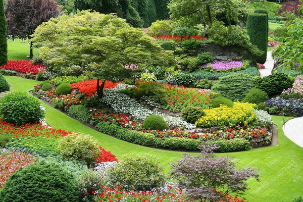 Blomma trädgård — Stockfoto